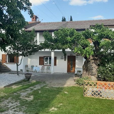 Maison d'hôtes Country House Gazon à Šmarje Extérieur photo